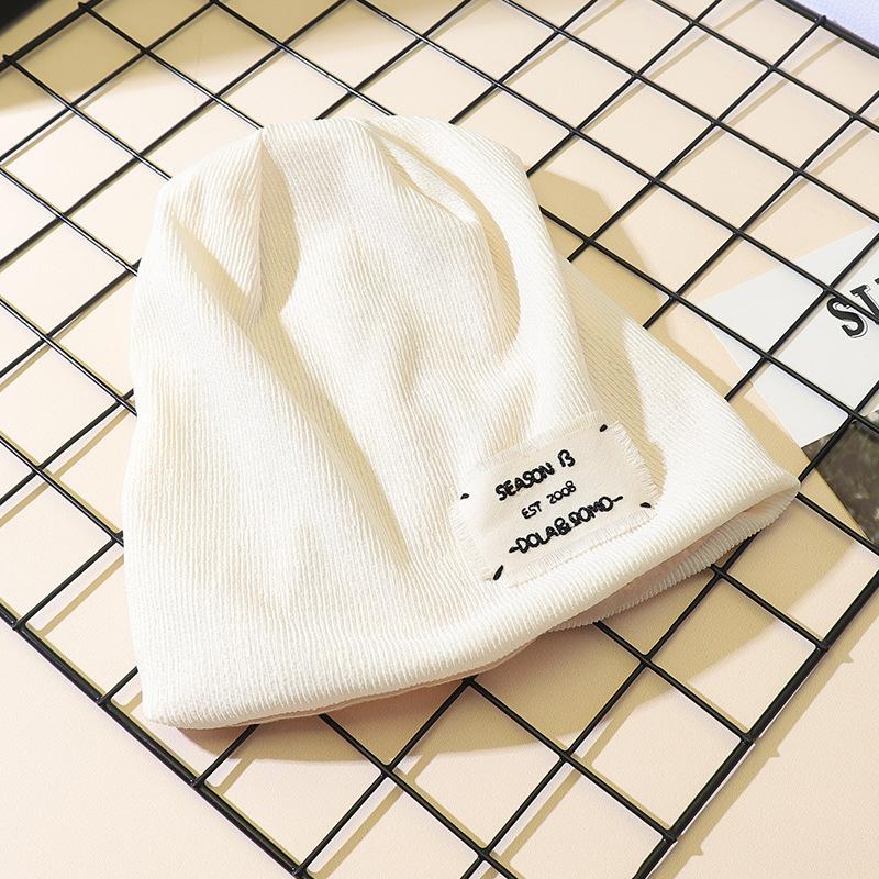 Internet celebrity new hat women's autumn and winter versatile wool hat sticker headgear trendy knitted pile hat men