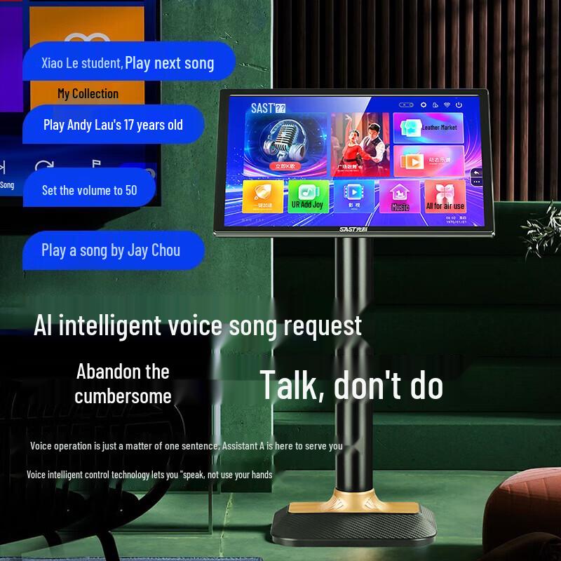 SAST All-in-One Home KTV Karaoke System CN plug (adapter included)