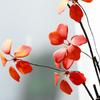 Artificial Leaf Plant Lifelike Easy To Clean Durable Fake Plant Photographic Prop for Indoor