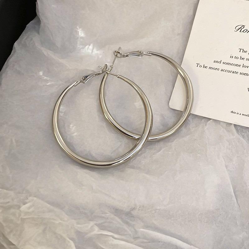 Silver Needle Autumn and Winter Metal Earrings Earrings Niche Fashion Cold Wind Earrings Versatile Light Luxury Premium Earrings