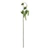 Realistic Hyacinth Bean Artificial Vegatable Decoration Lifelike Simulation Bean Pods for Kitchen Restaurant Home Decor