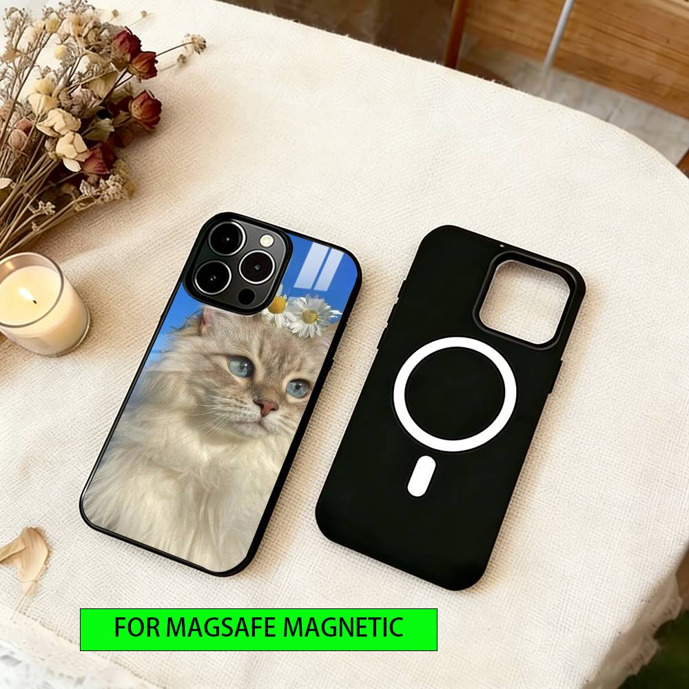 Cute Cat Vibe  Phone Case For iPhone17,16,15,14,13,12,11 Plus,Pro Magnetic with Magsafe Wireless Charging