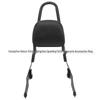 Detachable Rear Backrest & Luggage Rack for Harley XL883/1200/48/72 Motorcycle