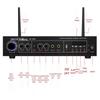 Lingsheng Wireless Bluetooth Power Amplifier with Wall Speakers CN Plug (adapter Included)