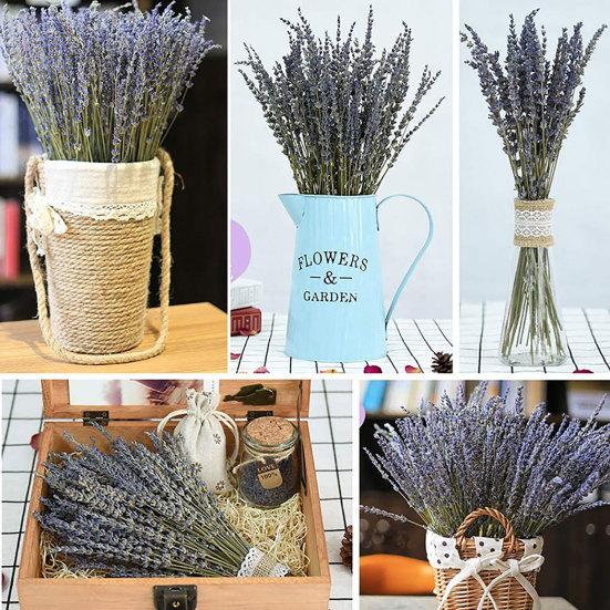 50g Fiori secchi di lavanda Casa Fotografia Props Matrimonio Festa Ornamento
