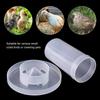 Automatic for Chicken Parrot Water Dispenser Pigeon Feeder Pigeon Food Box Bird Drinking Fountain