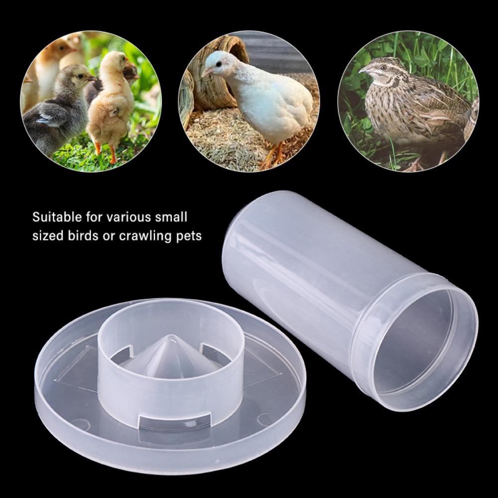 Automatic for Chicken Parrot Water Dispenser Pigeon Feeder Pigeon Food Box Bird Drinking Fountain