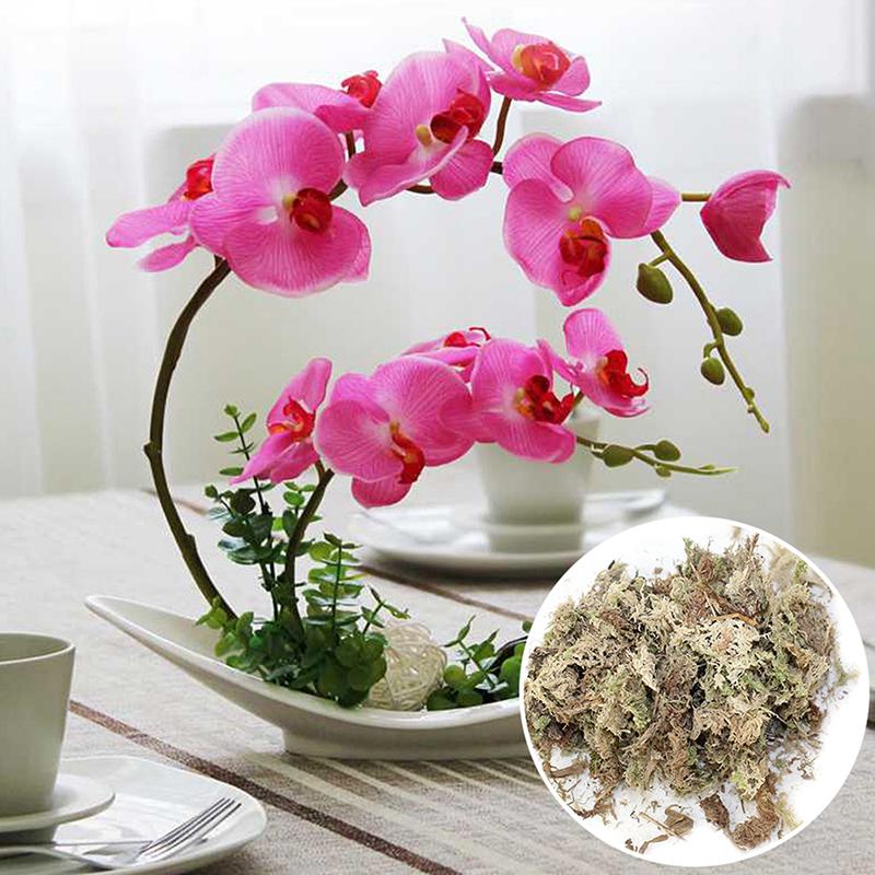 12L / 6L Sphagnum-Moos, feuchtigkeitsspendender organischer Dünger für Orchideen-Phalaenopsis