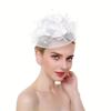 Feathers Mesh Fascinator Hat Elegant Bride Headdress Vintage Veil Hat Headwear  Wedding