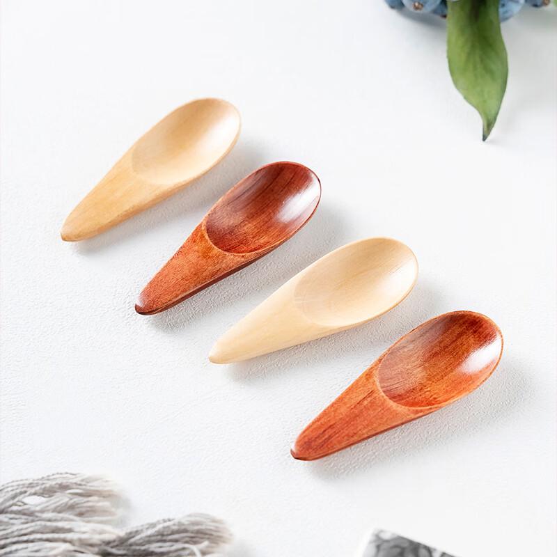 Short Handle Wooden Mini Spoons - Set of 10