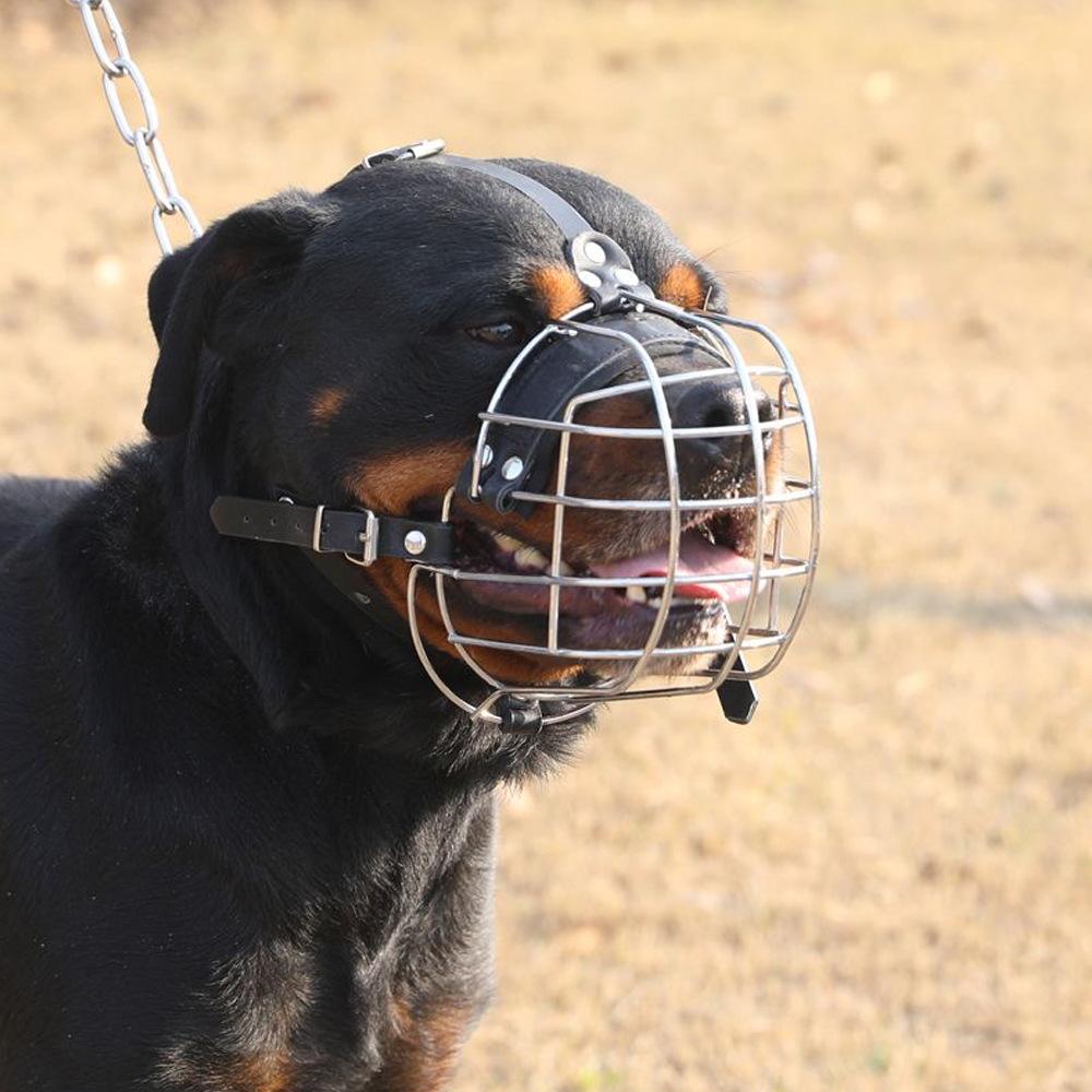 Anti-Biss Pitbull Rottweiler Hundemaske Metallmaske Amstaff Sicherer Drahtkorb Verstellbare Langlebige Lederriemen für Große Hunde