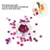 12 Colors Maple Leaf Shaped Nail Art Sequins Nail DIY Decoration Shining Pailletteqt0273