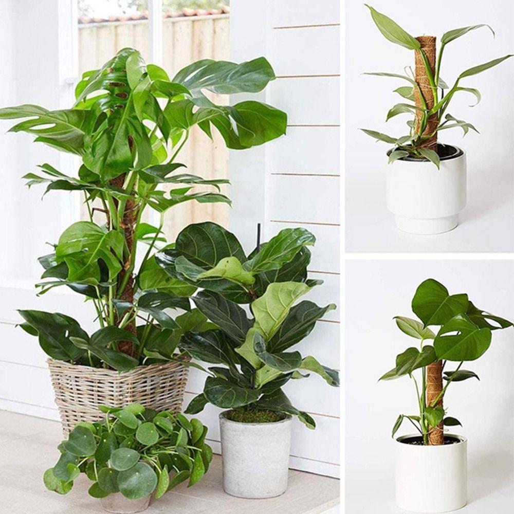 Fashion Detachable Moss Pole To Grow Upwards 32/42/52cm Plants Climbing Support Gardening Tools Palm Vines Stick Outdoor