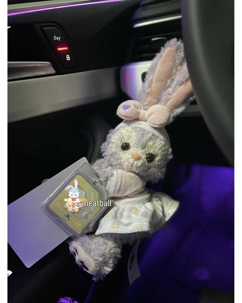 Charming Car Ornaments: Plush Passenger Seat Toys & Decorations for Women, Perfect for Tesla.