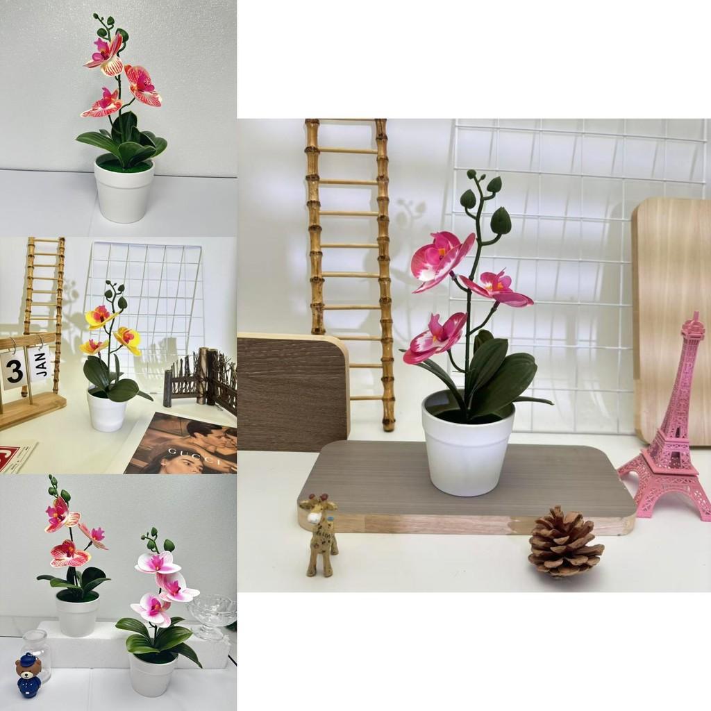 Schmetterlingsorchidee 3D Kunstpflanze mit Indoor-Dekor für Fotografie und Heimstyling