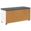 Hallway Bench with Cushion Shelf and Door White 100 X 38 X 46 Cm