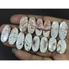 Natural Rosetta Crazy Lace Agate Oval Cabachon Loose Gemstone 07 Pcs Lot C-2605