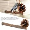 Natural Perch Bird Stand Pole Chewable Applewood Bird Perch Cage Accessories with Pine Cone for Parakeets Cockatiels