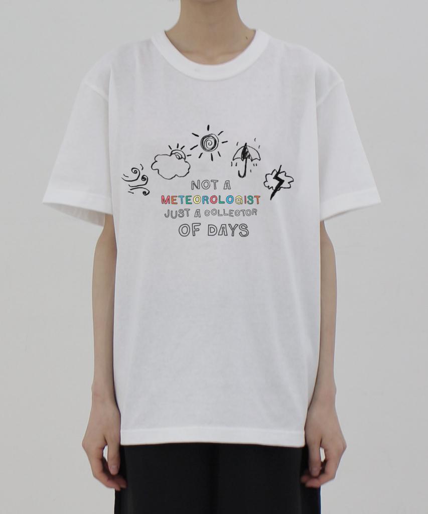Heombeulakaibeu Archive11 Weather Collector Short Sleeve T-Shirt