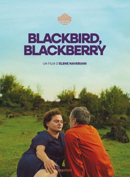Dvd film Capprici editions Blackbird, Blackberry DVD
