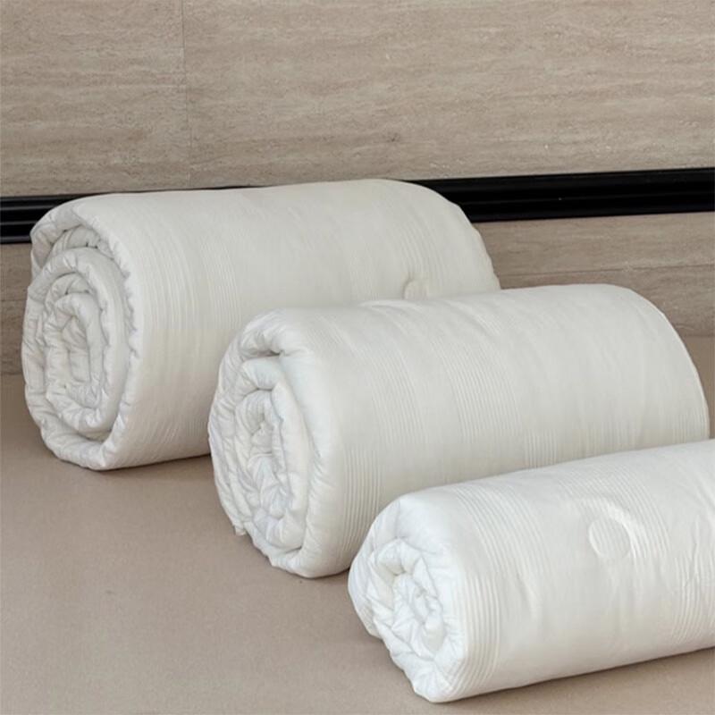 Soy Protein Cotton Spring/Autumn Quilt