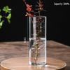High Borosilicate Glass Hydroponic Vase & Desktop Planter - Straight Tube Design for Artistic Arrangements and Moss Ecosystem