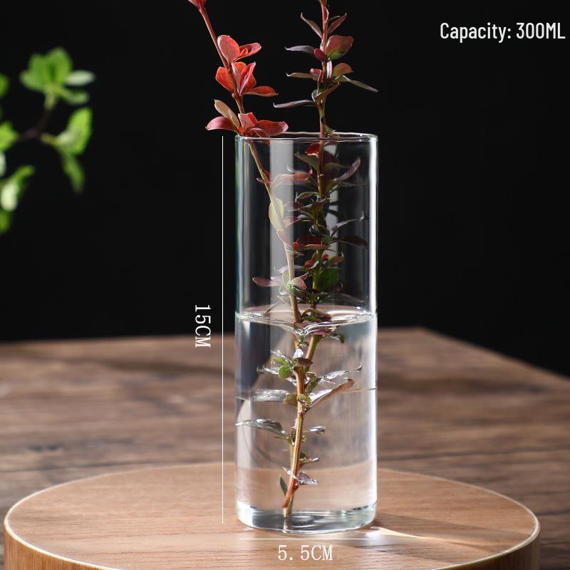 High Borosilicate Glass Hydroponic Vase & Desktop Planter - Straight Tube Design for Artistic Arrangements and Moss Ecosystem