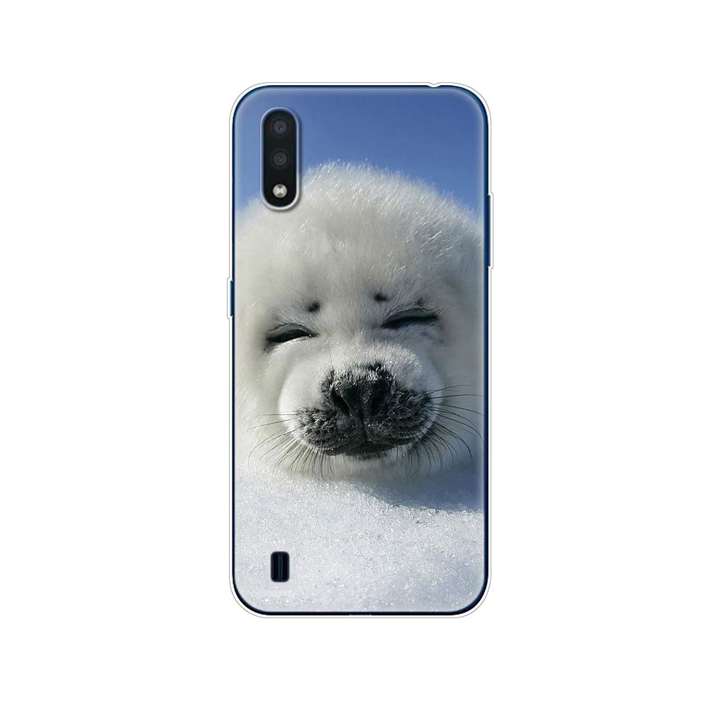 For Samsung M01 Case 5.7" Soft Silicon Tpu Cover For Samsung Galaxy M01 M 01 SM-M015FZBDSER M015 Phone Back Shell Bumper Funda