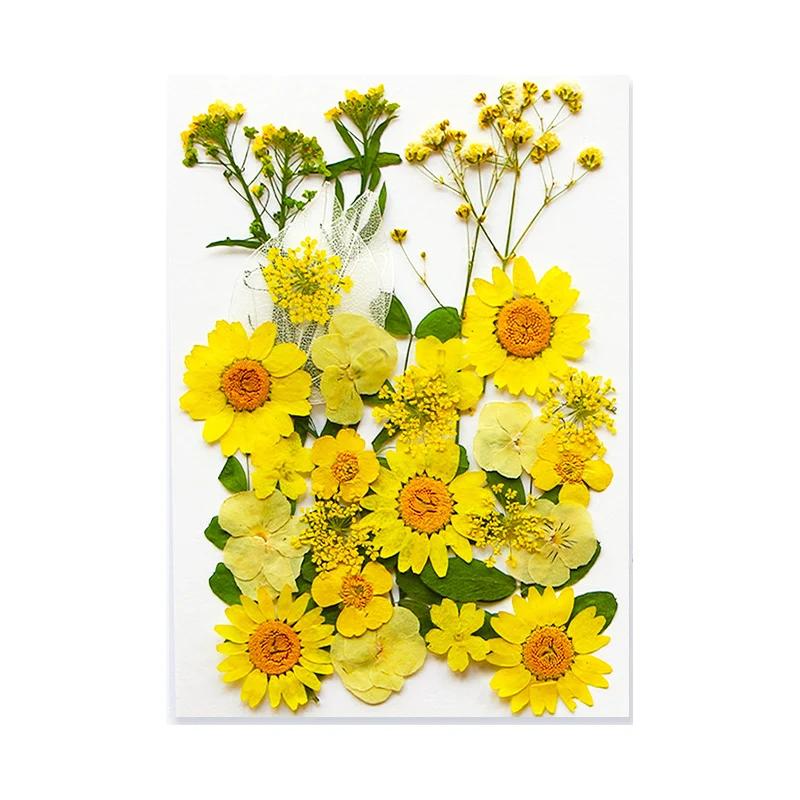 Dried Flowers Real Natural Plant Pressed Flower For Epoxy Resin Filling DIY Keychain Pendant Silicone Mold Jewelry Making Crafts