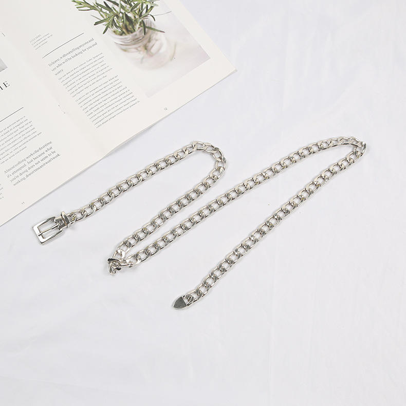 Women Metal Chain Belt 2026 Fashion Luxury Pin Buckle Waist Chain for Dress and Jeans