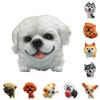 Cute And Cool Corgi Bulldog And Lion Dog Model Figures For Phone Cases And Decorations