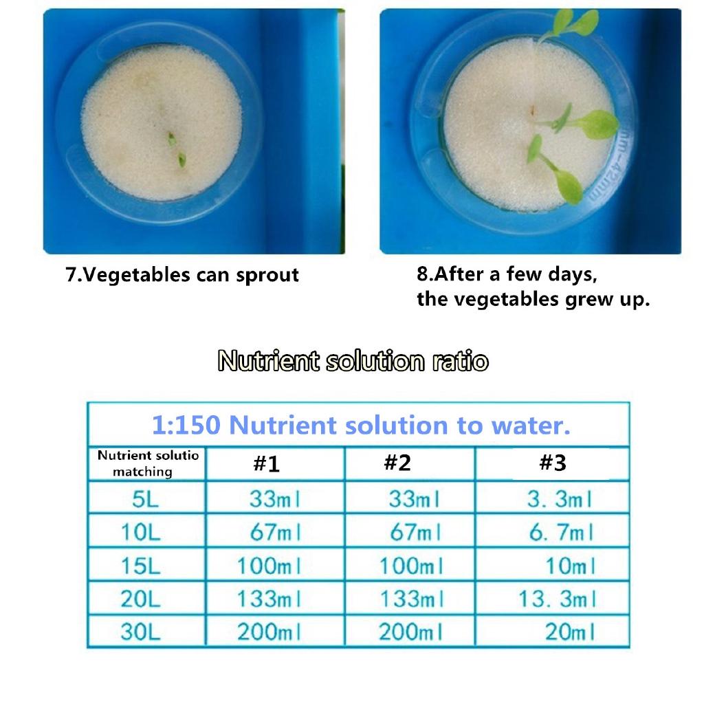 12 Löcher Pflanzenstandort Hydroponisches System Anzucht Blase Indoor Schrank Box Sets