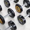 Xilu 210kg Round Head PEV Dumbbell Set with Rack and Mat