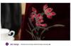 Imitation Mink Velvet Coat for Elderly Women - Plush, Warm, High-End Winter Wear