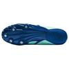 Asics Hyper Sprint 7 Track Low Top Sprinting Shoes Unisex Shoes Blue Teal 1093A194-300