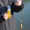 Fishing Lures Hook Organizers Outdoor Fishing Rod Small Lures with Carabiner Bottle Multifunctional Fishing Accessories