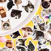 46pcs Cat Apprecia Stickers Set Mini Cute Cartoon Sticker Diary Album DIY Decoration Adhesive Gift Seal