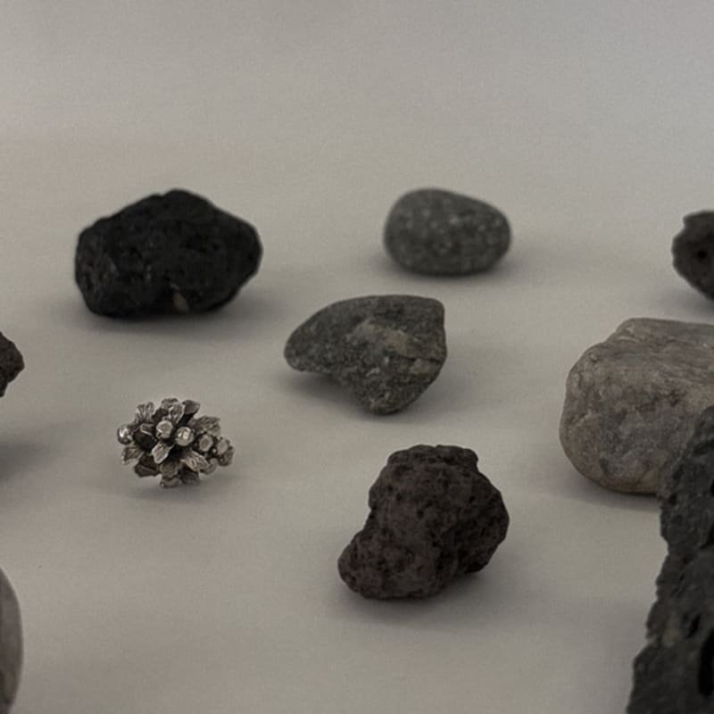 HYERIKIM JEWELLERY The winter garden photography ring (silver)