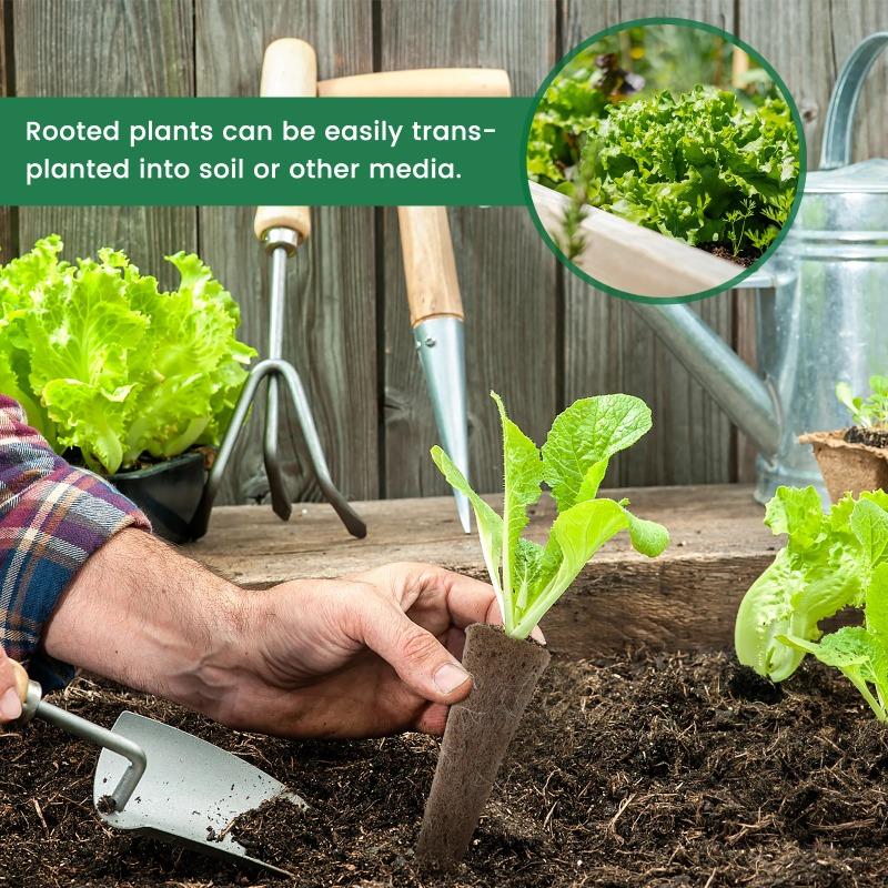 Seed Grow Sponges Hydroponic Pods Kit with Plant Labels Replacement Root Growth Sponges Indoor Gardening Accessories
