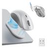 Periferice pentru calculatoare – Mouse-uri