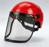 Garden Grass Trimmer Helmet with Full Face Mesh Visor Breathable Anti-Scratch Safety Guard for Yard Lawn Mowing Work