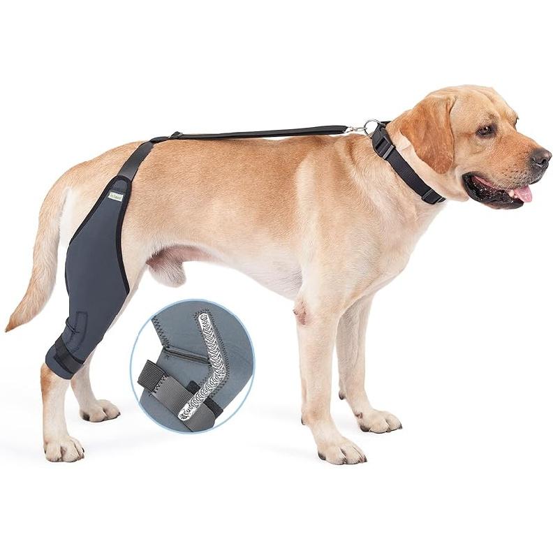 In hand Dog Knee Brace, 8 Sizes Canine Dog Elbow Brace Knee Immobilizer Support with Metal Strips Help Dog Keep The Joint Stable, Neoprene Canine Right L