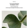 Anua Heartleaf Quercetinol Pore Deep Cleansing Foam 150ml (+25ml) Korean Pore-Clearing Face Wash with BHA
