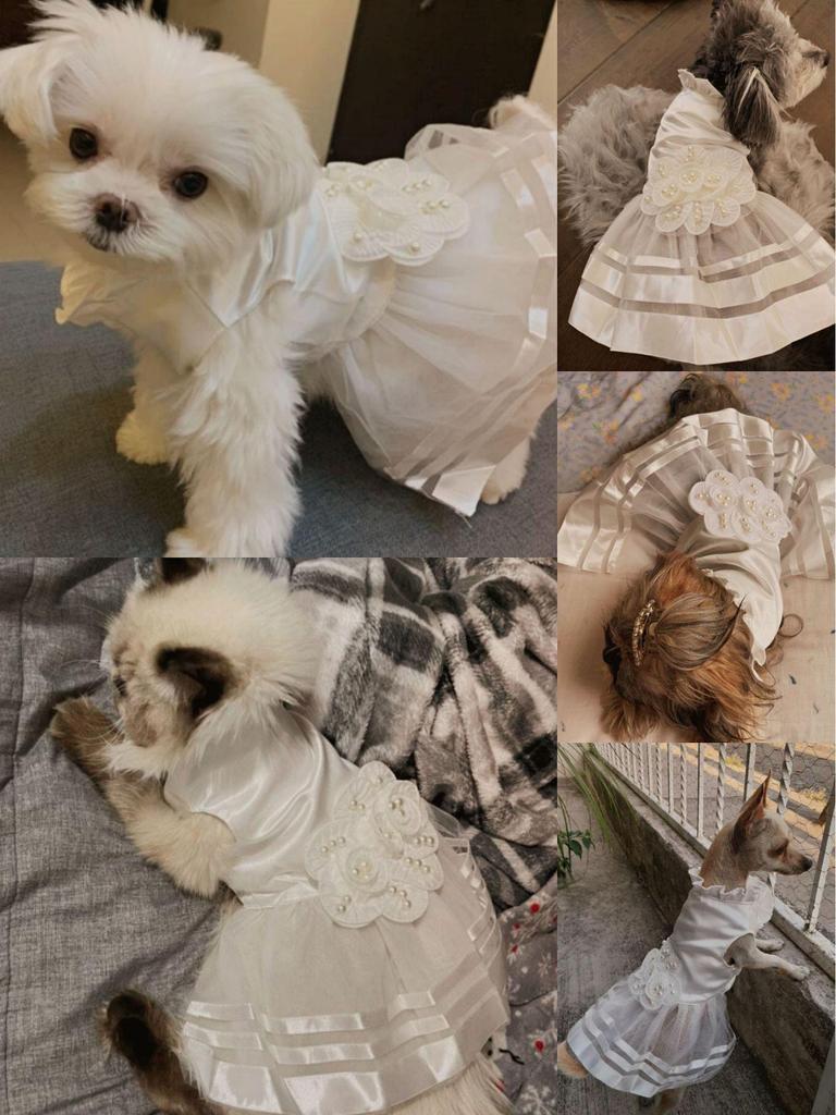 Baffy Pet Clothing: Stylish Cat & Dog Apparel and Skirts