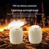 Philips TAS3109 Portable Bluetooth Speaker CN plug (adapter included)