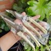 Stainless Steel Scissors Flower Cut Arrangement Pruning Fruit Tree Garden Branch Cutting Household Grafting Gardening Scissors