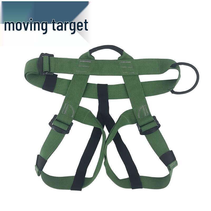 Outdoor & High-Altitude Safety Harness