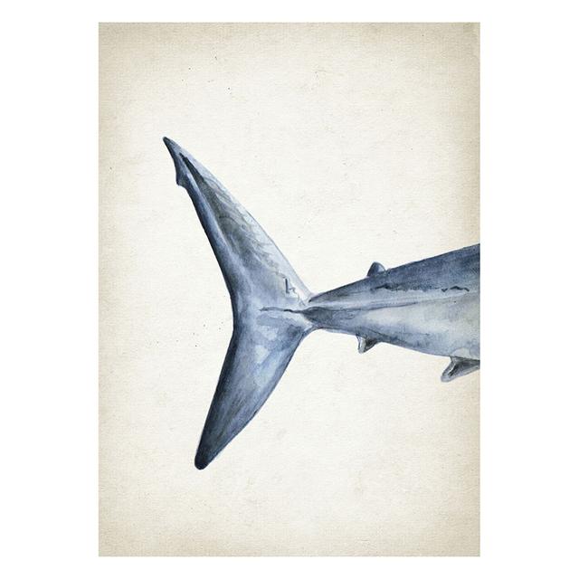 Marine Animals Canvas Paintings Great White Shark Posters and Prints Killer Whale Wall Art Picture for Home Decoration No Frame