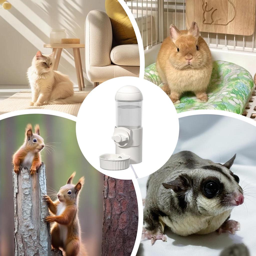 Heated Water Bowl For Cats Thermostatic Siphon Chinchilla Drinking Supplies Dog Kennel Water Dispenser For Pet Parents