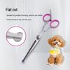 Professional Pet Grooming Scissors for Hair Trimming - Ideal for Teddy, Bichon, and Dog Hair Cutting.